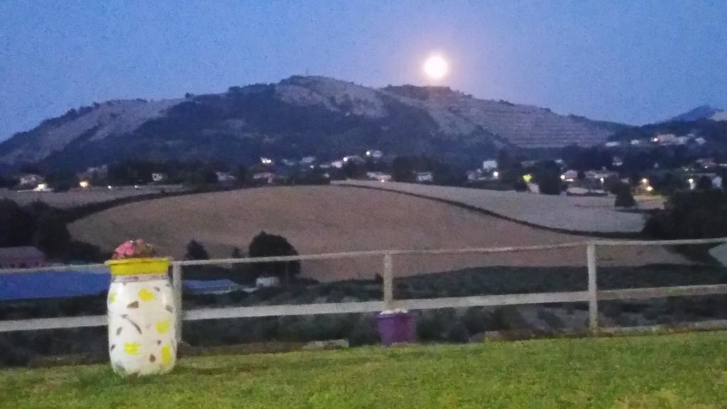 Bed & Breakfast Valeri Artena Exterior foto